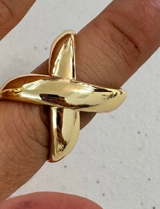 Anillos